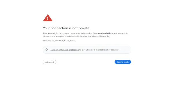 Screenshot of cardinali-id.com