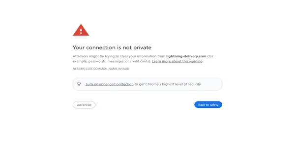 Screenshot of lightning-delivery.com