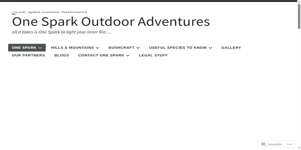 Screenshot of one-spark.com