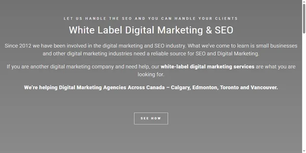 Screenshot of positioning-search-engine.com