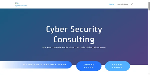 Screenshot of q-cyberconsult.com